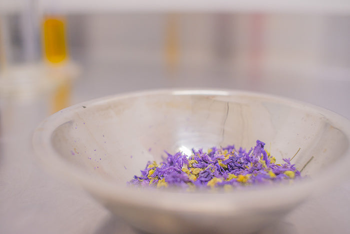 Surviving The Winter with Essential Oils